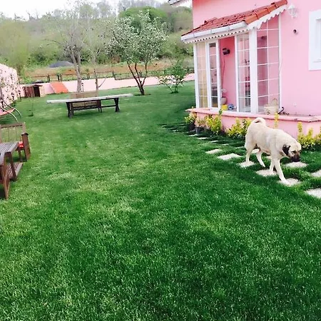 Wonderfull Private Garden Delux Village איסטמבול