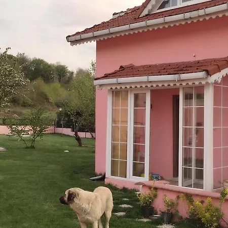 Wonderfull Private Garden Delux Village *